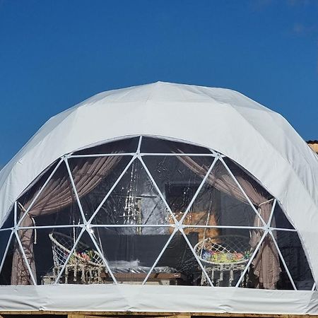 Pom Gratz - Ecodomes Hotell Hartebeesrivier Exteriör bild
