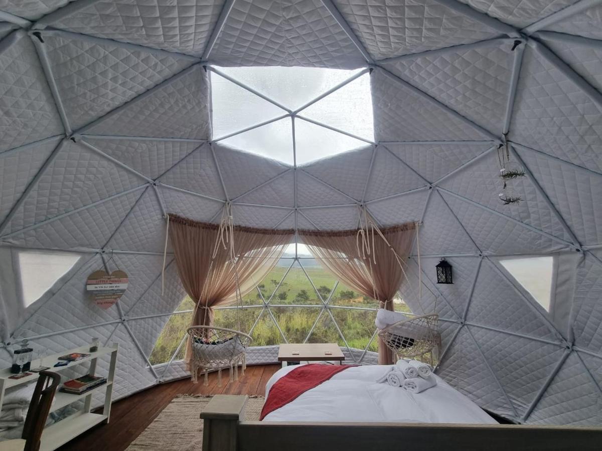 Pom Gratz - Ecodomes Hotell Hartebeesrivier Exteriör bild