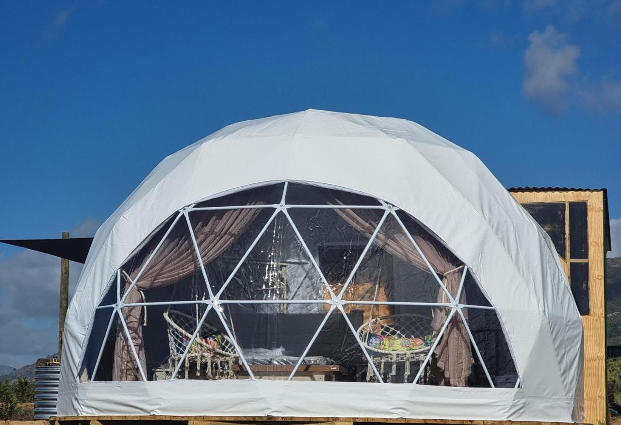 Pom Gratz - Ecodomes Hotell Hartebeesrivier Exteriör bild