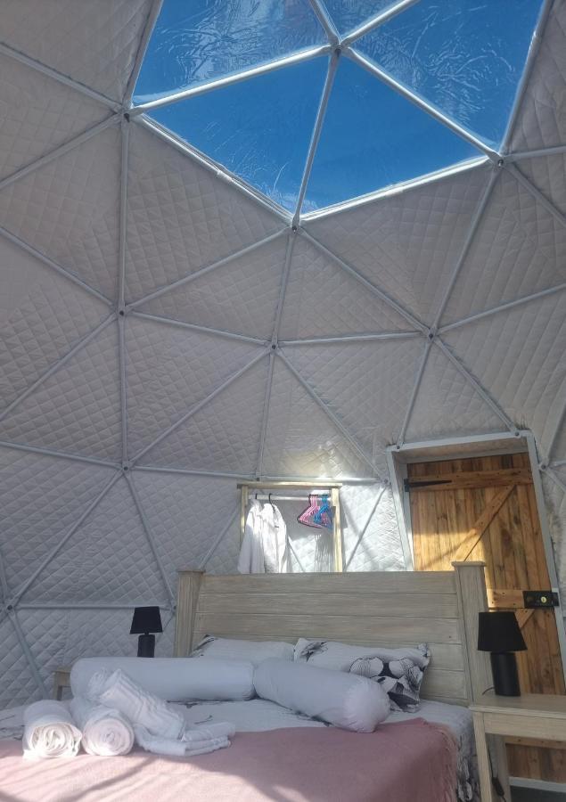 Pom Gratz - Ecodomes Hotell Hartebeesrivier Exteriör bild
