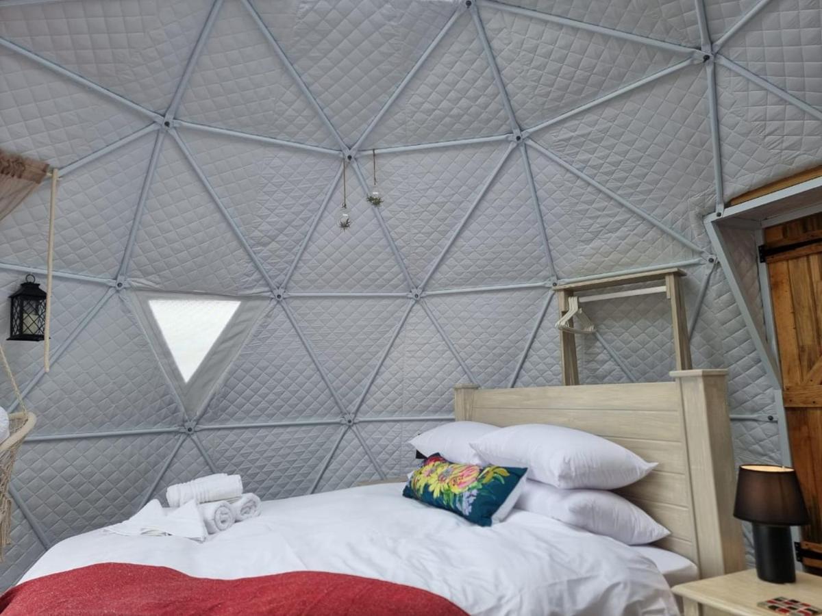 Pom Gratz - Ecodomes Hotell Hartebeesrivier Exteriör bild