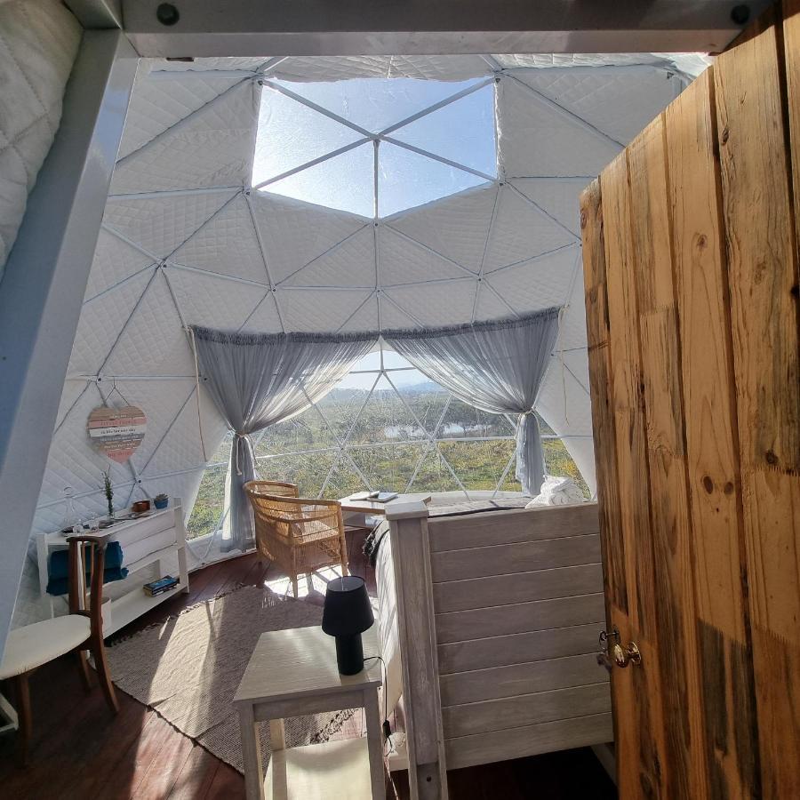 Pom Gratz - Ecodomes Hotell Hartebeesrivier Exteriör bild
