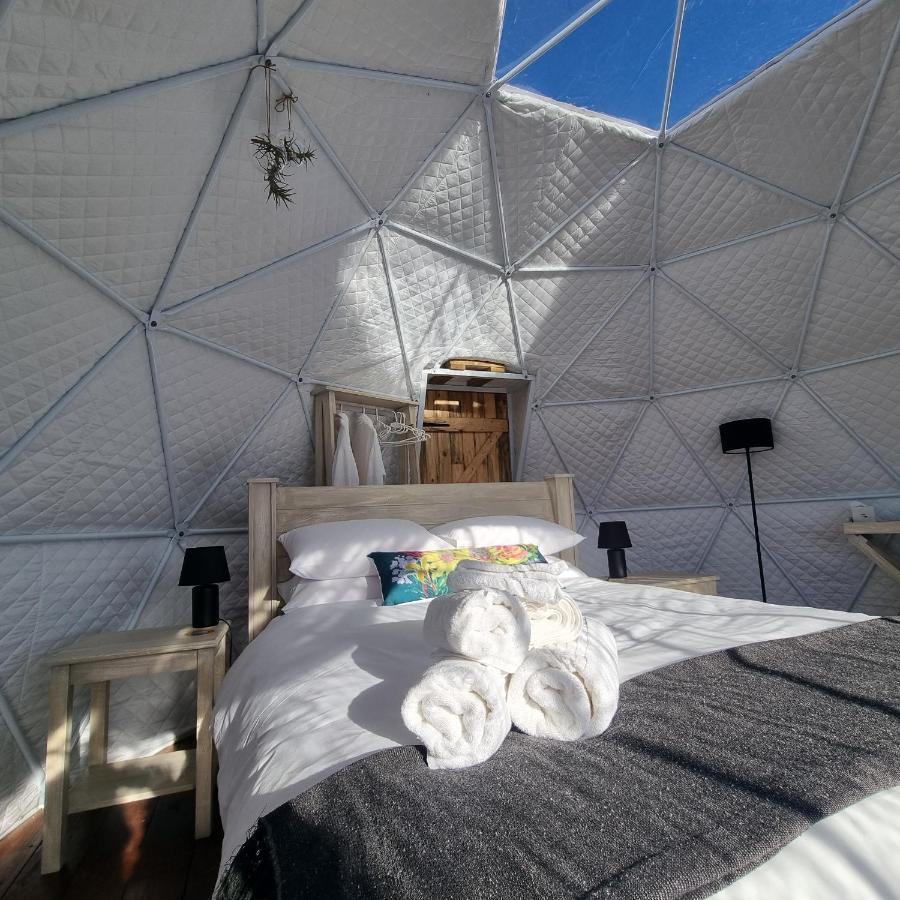 Pom Gratz - Ecodomes Hotell Hartebeesrivier Exteriör bild
